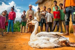 1 Goose/25 People!!! Food of Madagascar!!!