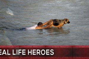 17 Most Inspiring Animal Rescues by Real Life Heroes #17