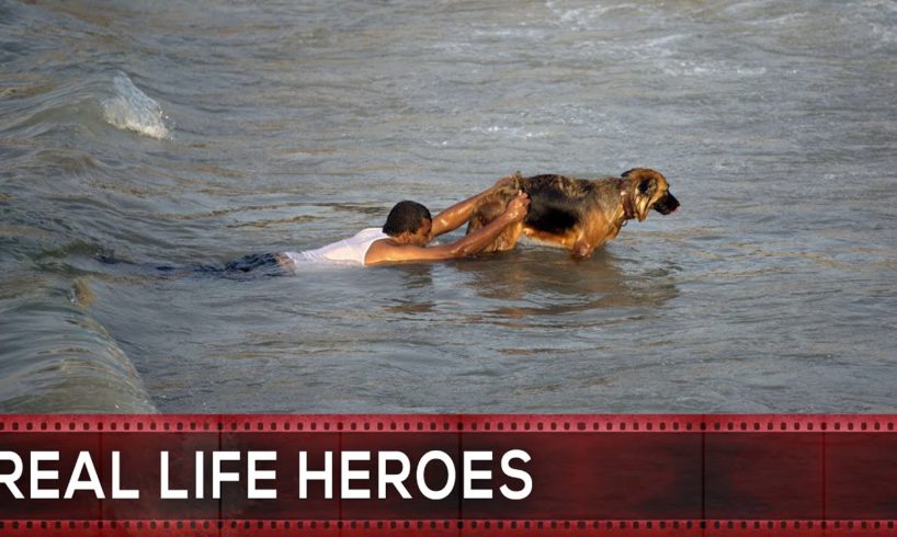 17 Most Inspiring Animal Rescues by Real Life Heroes #17