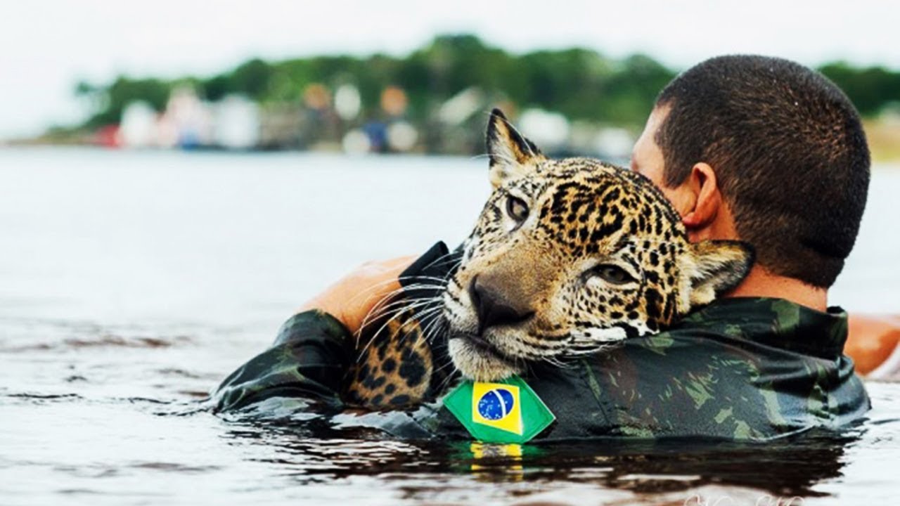 20 MOST INSPIRING ANIMAL RESCUES