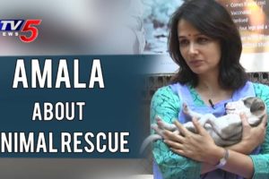 Amala about Animal Rescue & Blue Cross Animal Shelter | Amala Interview | TV5 News