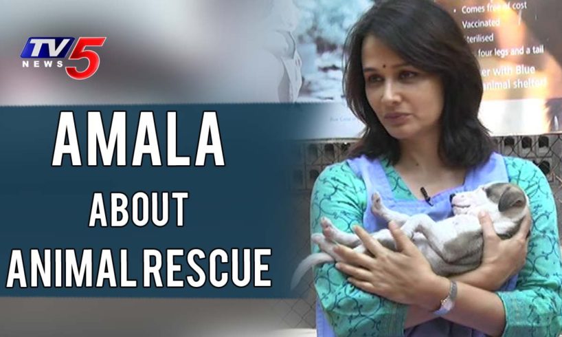 Amala about Animal Rescue & Blue Cross Animal Shelter | Amala Interview | TV5 News
