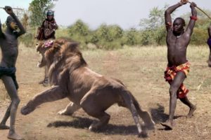 Amazing Wild Animals Attacks - Wild Animal Fights Caught On Camera | Wild Animals Ultimate Fights