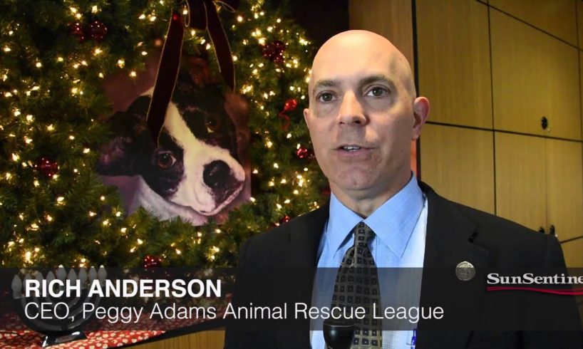 Animal Rescue Group To Deliver Dogs, Cats On Christmas