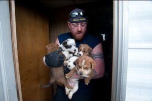 Animal Rescue Team Rescues Hundreds