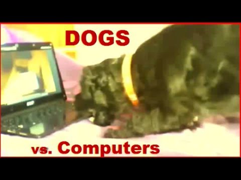 Animals Playing on iPads Compilation 2014 - pt 2 DOGS