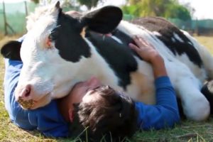 Animals Show Love for Humans - Animals Hugging People - Animals Cuddling