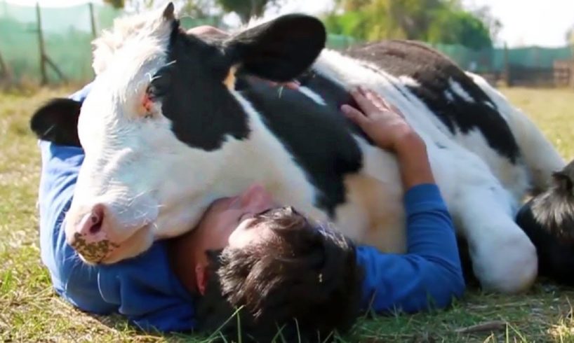 Animals Show Love for Humans - Animals Hugging People - Animals Cuddling