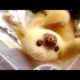 BABY ANIMAL videos are the HARDEST TRY NOT TO LAUGH challenge - WATCH and DIE LAUGHING
