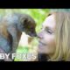 BABY FOXES UP CLOSE - Beautiful Animal Rescue