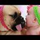 Babies and animals are best friends - Adorable baby and animal compilation