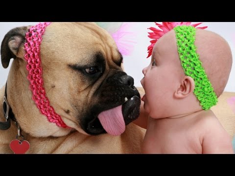 Babies and animals are best friends - Adorable baby and animal compilation