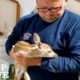 Baby Deer Keeps Revisiting Man Who Rescued Him From Hole: Animal Family Compilation | The Dodo Top