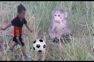 Baby Monkey | Doo Play Outdoor - Funny Animals - Funny Animals