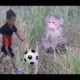 Baby Monkey | Doo Play Outdoor - Funny Animals - Funny Animals