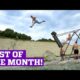 Best Videos of the Month! (June 2017)