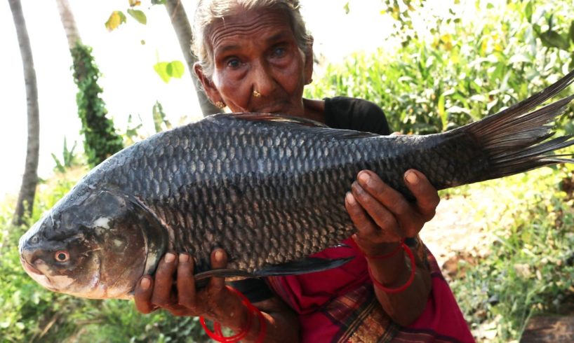 Big Fish Fry |  Big fish recipe By Our Granny