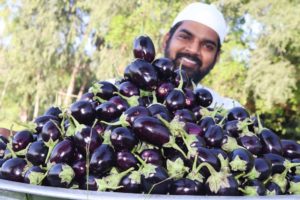 Brinjal Masala Recipe || Eggplant curry for 200Orphan kids || Nawabs kitchen