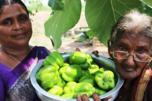 Capsicum Tomato Curry prepared by mastanamma || Country foods