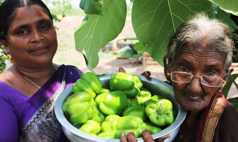 Capsicum Tomato Curry prepared by mastanamma || Country foods