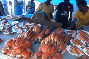 Chennai Marina Beach Fish Fry  - Street Food Loves You