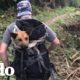 Chicos viajan por horas en una excursión para salvar a un perrito