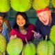 Davao Durian Tour! DURIAN CURRY and other RARE Filipino Food! ?