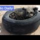 Dog Living in Tire Rescued & ADOPTABLE: Best Animal Videos | The Dodo Daily