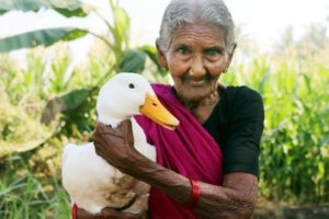 Duck curry prepared by my Granny's || Country Foods