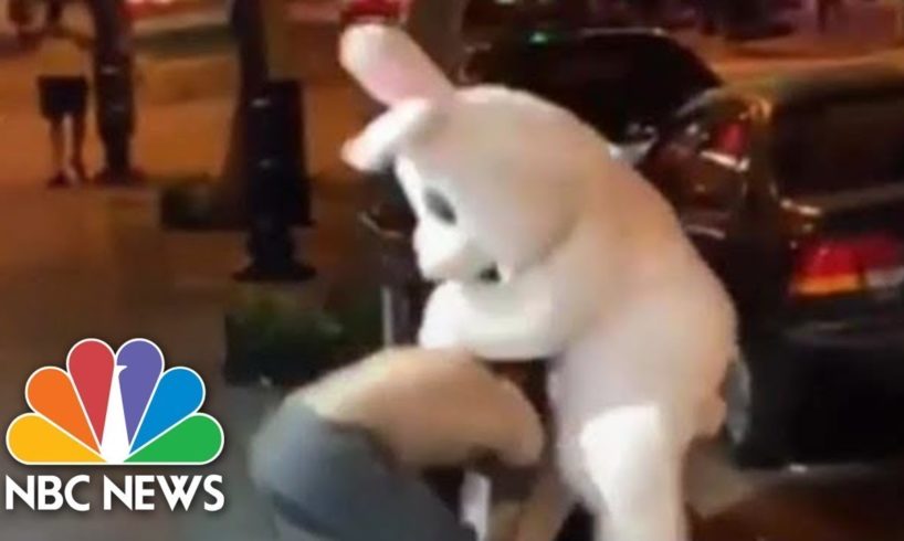 Easter Bunny Fights In Defense Of Woman Outside Orlando, Florida Bar | NBC News