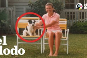 El espíritu de este perrito visita a su familia en su casa antigua