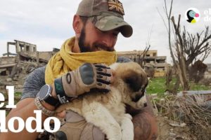 Este soldado le salvó la vida a una cachorrita y luego se dio cuenta de que no podía vivir sin ella