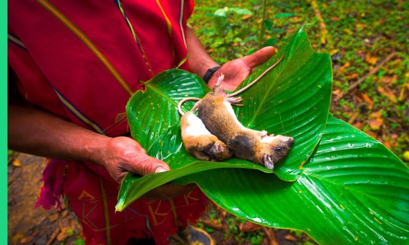 Exotic Rural Thai Cuisine! WARNING: Shows rat catching and cooking scenes