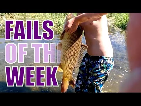 Fails of the Week: How not to fish! [October 2017]