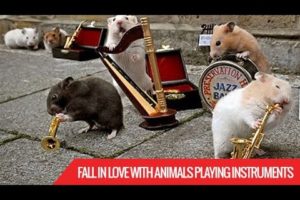 Fall In Love With Animals Playing Instruments