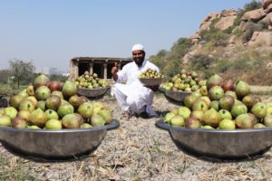 Fig Fruit Sweet for 1000 people  || Anjir Meetha recipe || Nawabs kitchen