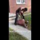 Fight in the hood | fights |