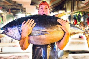 Filipino Seafood Tour! The Real King of Tuna in Mindanao!
