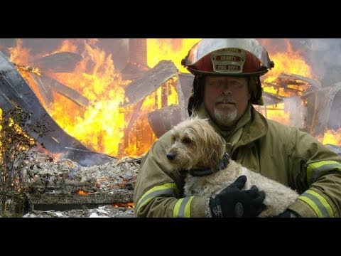 Firefighters Heroes Rescue Animals lives 2018 - Real Life Heroes - Faith In Humanity Restored 2018