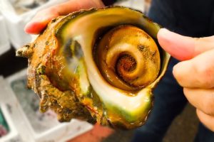 GIANT ALIEN SNAIL in JAPAN!!! Digging Deep in Tokyo's Famous Fish Markets!