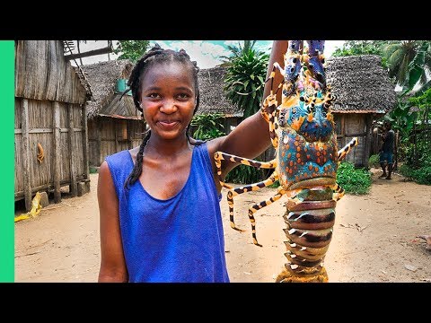GIANT SEAFOOD on Africa’s Biggest Island! Catch and Cook with Primitive Technology!