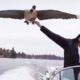 Goose Visits Man Who Rescued Her Every Day | The Dodo