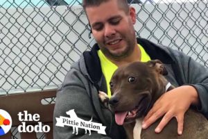 Guy Drives 2,800 Miles To Rescue A Pit Bull | The Dodo Pittie Nation