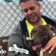 Guy Drives 2,800 Miles To Rescue A Pit Bull | The Dodo Pittie Nation