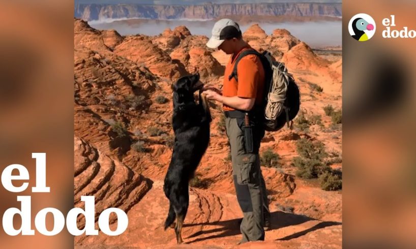 Hombre rescata a un cachorro abandonado en un cañón