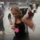 Houston SPCA Accused Of Killing Dogs After Hurricane Harvey - Hope For Dogs | My DoDo