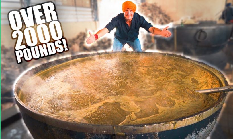 How India Cooks Lunch for 50,000 People for FREE! The MIRACLE in Punjab, India.