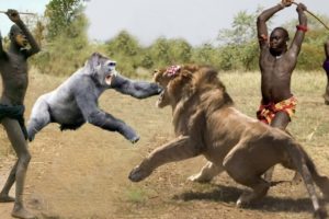 Hunters and Predators of the Planet Wild Animals Attacks - Wild Animal Fights Caught On Camera