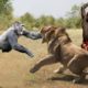 Hunters and Predators of the Planet Wild Animals Attacks - Wild Animal Fights Caught On Camera