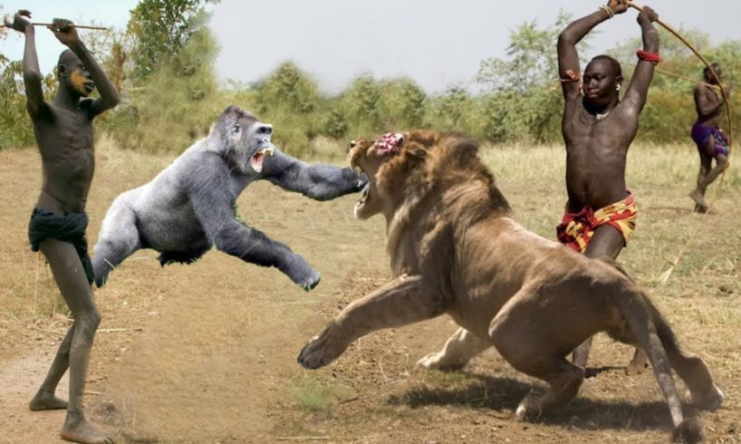 Hunters and Predators of the Planet Wild Animals Attacks - Wild Animal Fights Caught On Camera